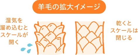 羊毛の拡大イメージ。湿気を溜め込むとスケールが開き、乾くとスケールは閉じる。